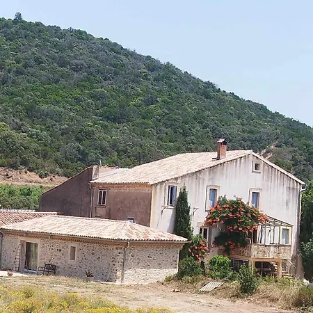 Isole Au Coeur Du Vignoble * Roquebrun